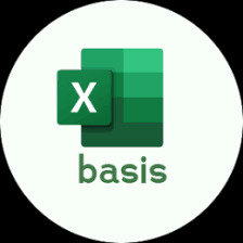 basis excel cursus